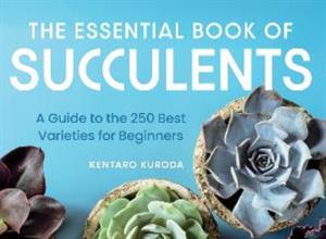 Succulents